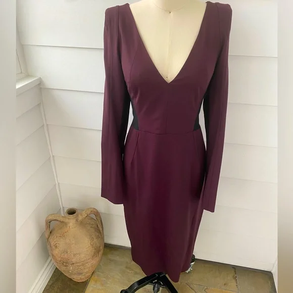 Sexy Deep V Long Sleeve Oxblood Eggplant Midi Length Cocktail Dress | Color: Black/Purple | Size: M | Pm-15588172's Closet